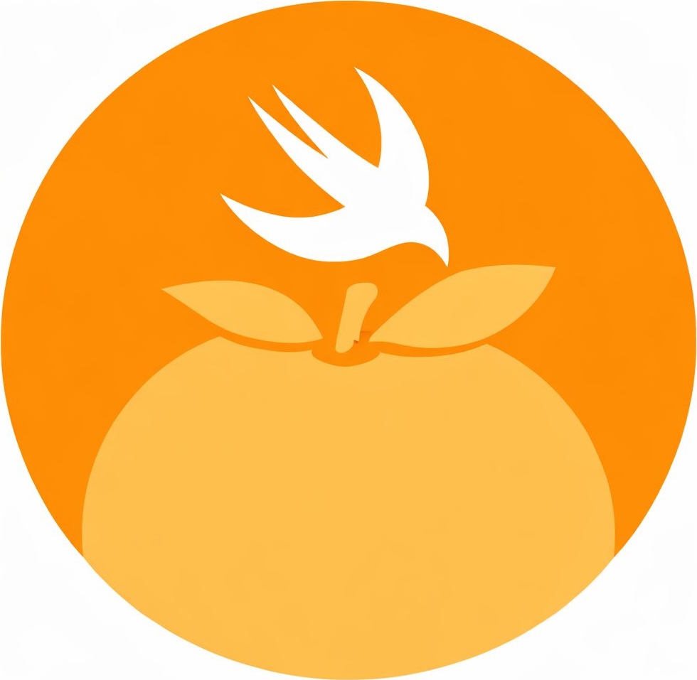 Swift Nagpur